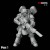 Z1.jpg