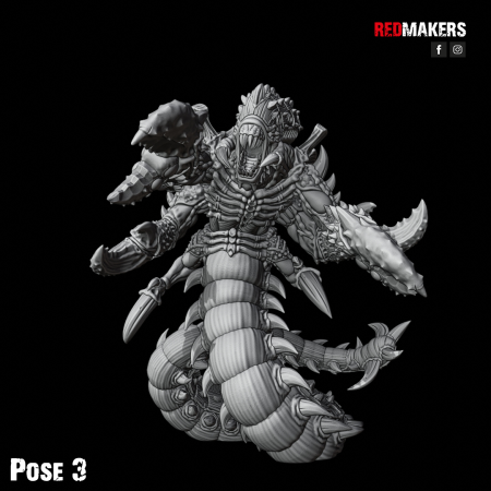 Z5.png