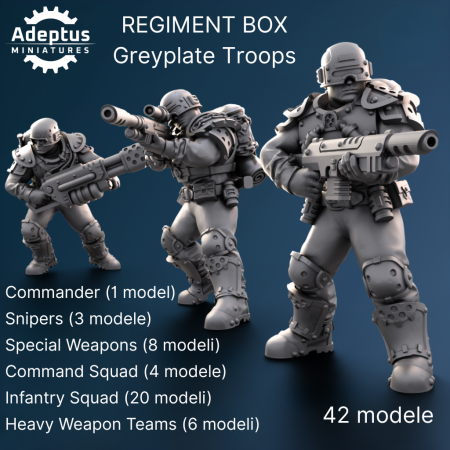 REGIMENT BOX - Greyplate Troops.png