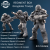 REGIMENT BOX - Greyplate Troops.png