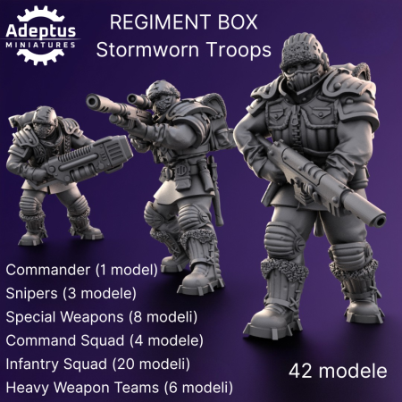 REGIMENT BOX - Stormworn Troops.png