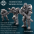 REGIMENT BOX - Winterline Forces.png